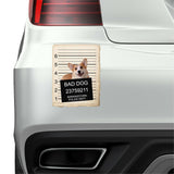Pembroke Welch Corgi Mugshot Bad Dog Fridge refrigerator Car Magnet