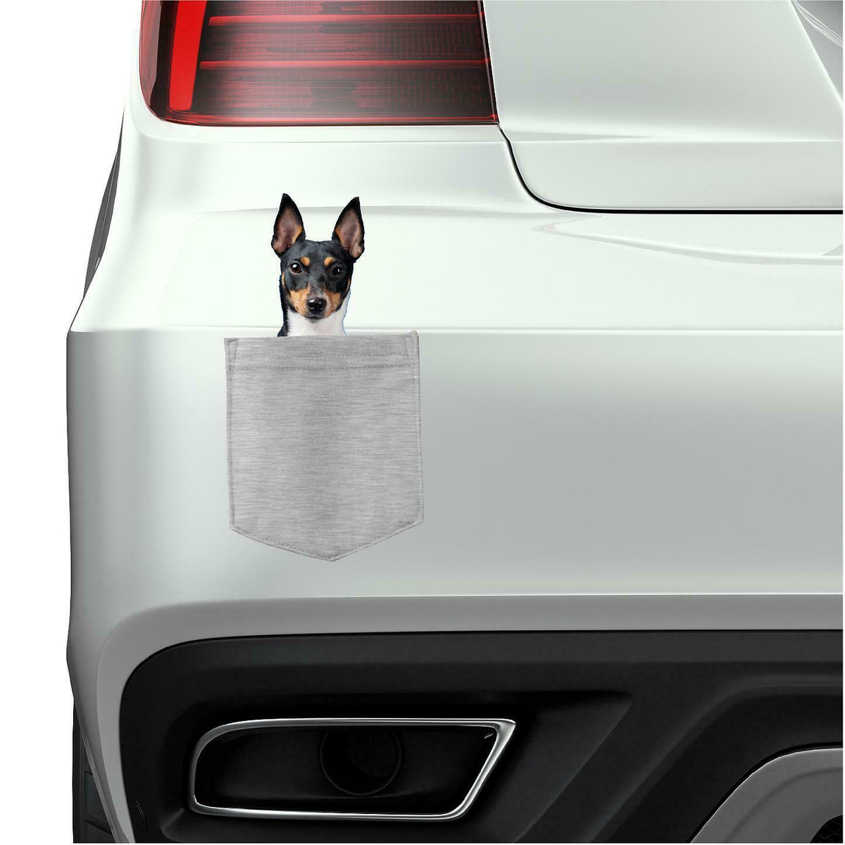 Toy Fox Terrier Dog in pocket Fridge Car Magnet Bumper Sticker App size 4"x7"
