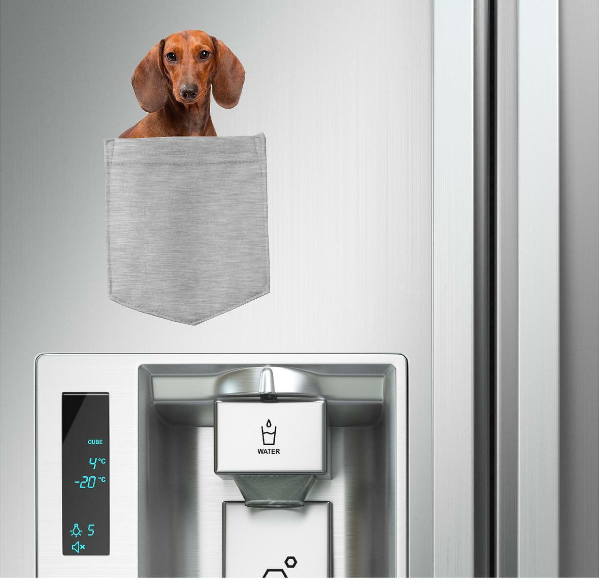 Dachshund Dog in pocket Fridge Car Magnet Bumper Sticker App size 4"x7"
