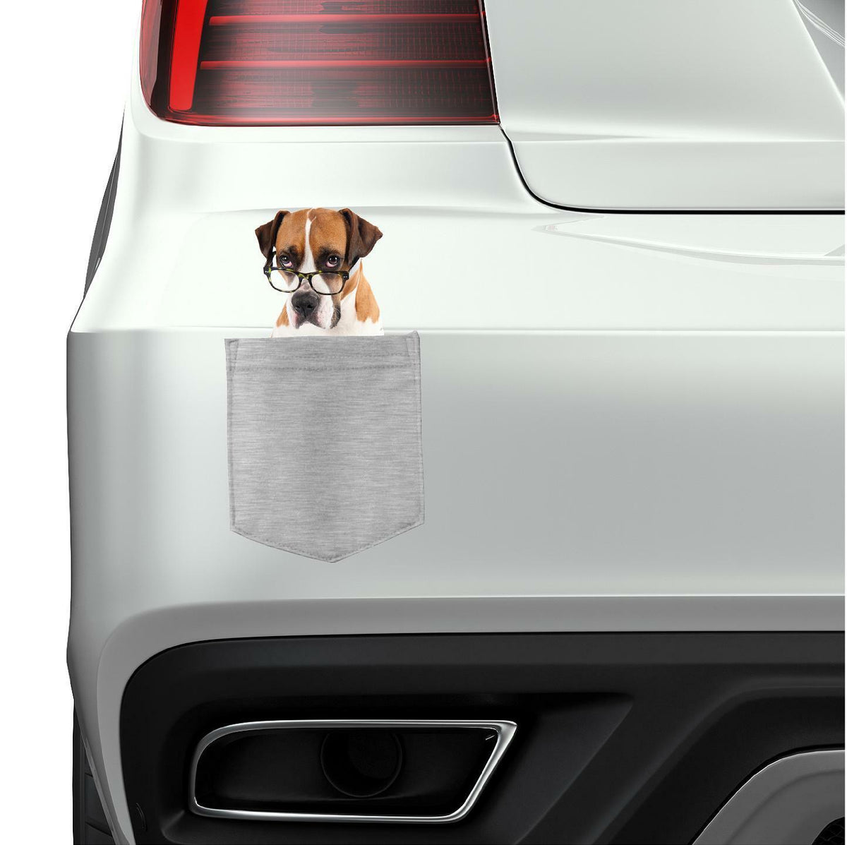 Boxer with Glasses Dog in pocket Fridge Car Magnet Bumper Sticker App size 4"x7"