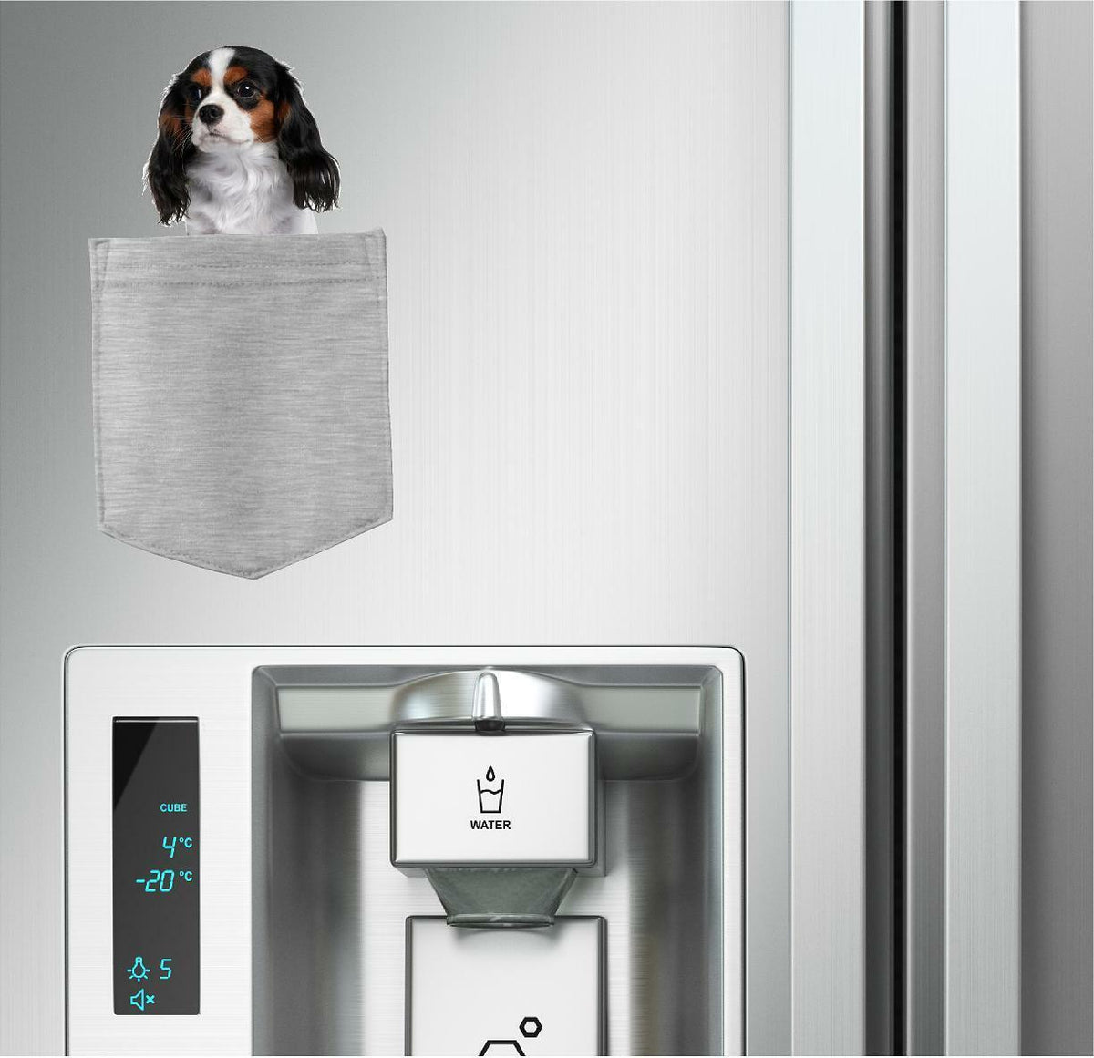 Cavalier King Charles in pocket Fridge Car Magnet Bumper Sticker App size 4"x7"