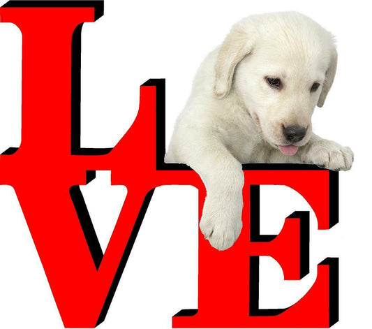 Yellow Lab Dog Love Park Dog Fridge Refrigerator Car Magnet