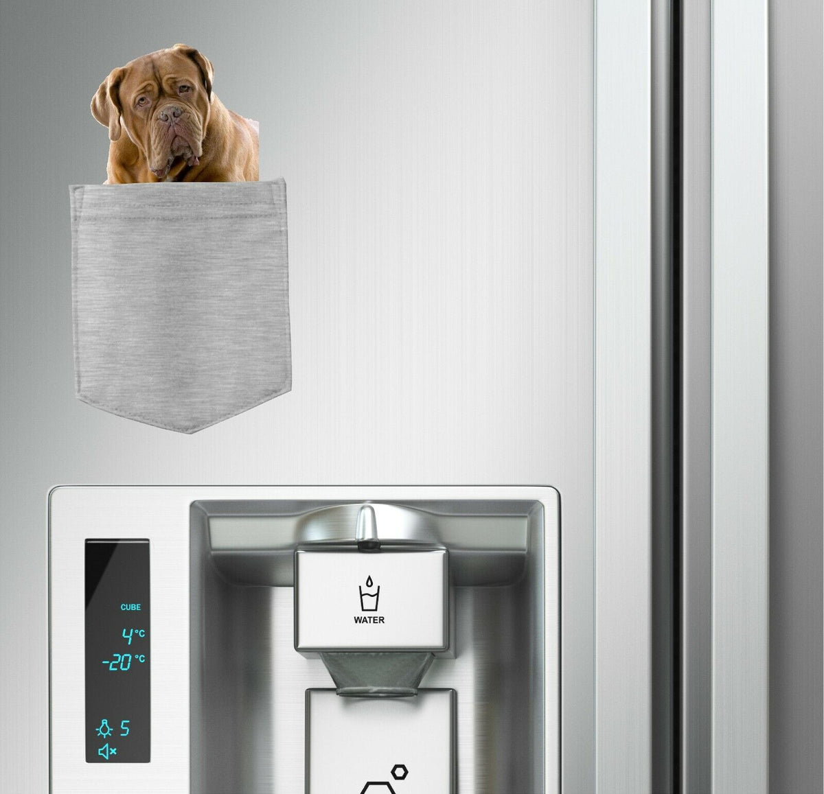 Bull Mastiff Dog in pocket Fridge Car Magnet Bumper Sticker App size 4"x7"
