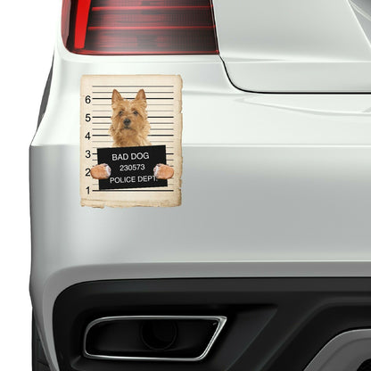 Australian Terrier Mugshot Bad Dog Fridge refrigerator Car Magnet