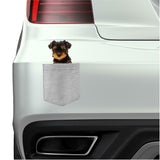 Yorkshire Terrier Dog in pocket Fridge Car Magnet Bumper Sticker App size 4"x7"