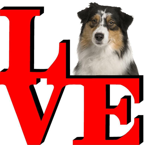 Australian Shepard Love Park Cute Dog Fridge Refrigerator Car Magnet