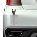 American Hairless Dog in pocket Fridge Car Magnet Bumper Sticker App size 4"x7"