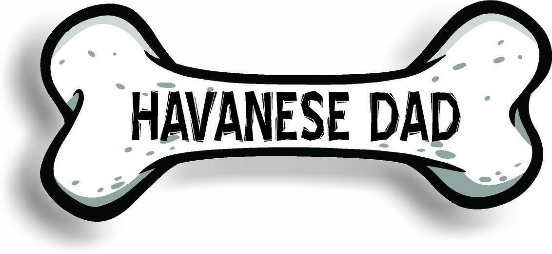 Dog Dad Havanese Bone Car Magnet Bumper Sticker 3"x7"