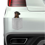 Rottweiler Dog in pocket Fridge Car Magnet Bumper Sticker App size 4"x7"