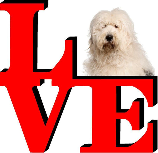 Old English Sheepdog Love Park Cute Dog Fridge Refrigerator Car Magnet