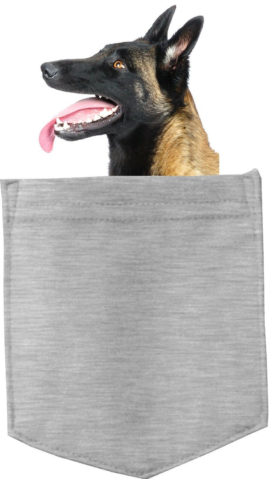 Belgian Sheepdog Dog in pocket Fridge Car Magnet Bumper Sticker App size 4"x7"