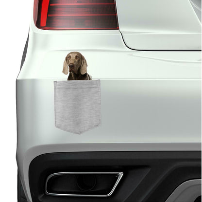 Weimaraner Dog in pocket Fridge Car Magnet Bumper Sticker App size 4"x7"
