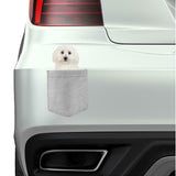 Bichon Frises Dog in pocket Fridge Car Magnet Bumper Sticker App size 4"x7"