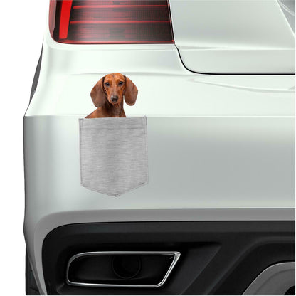 Dachshund Dog in pocket Fridge Car Magnet Bumper Sticker App size 4"x7"