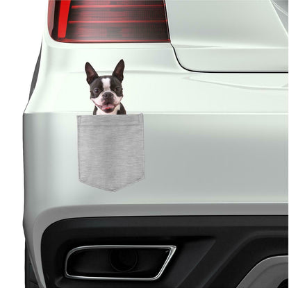 Boston Terrier Dog in pocket Fridge Car Magnet Bumper Sticker App size 4"x7"