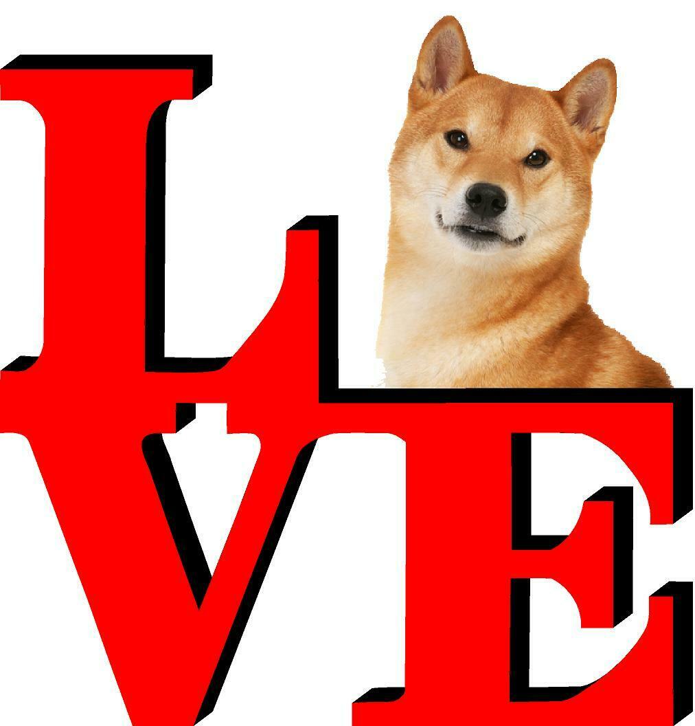Shiba Inu Cute Dog Fridge Refrigerator Car Magnet
