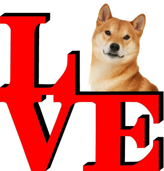 Shiba Inu Cute Dog Fridge Refrigerator Car Magnet