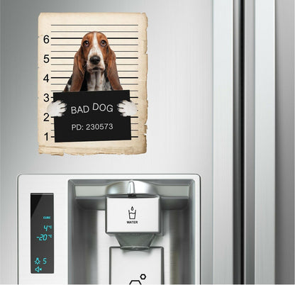 Basset Hound Mugshot Bad Dog Fridge refrigerator Car Magnet Bumper Sticker