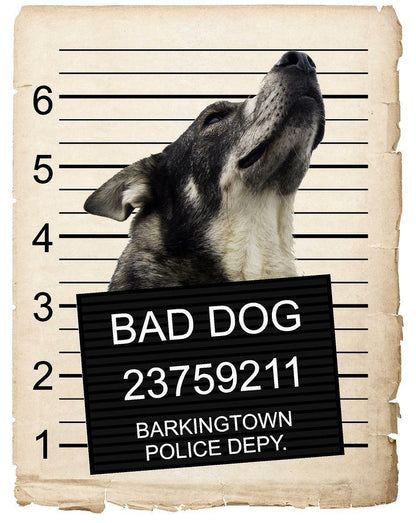 Norwegian Elk Hound Mugshot Bad Dog Fridge refrigerator Car Magnet