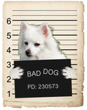 American Eskimo Mugshot Bad Dog Fridge refrigerator Car Magnet Bumper Sticker
