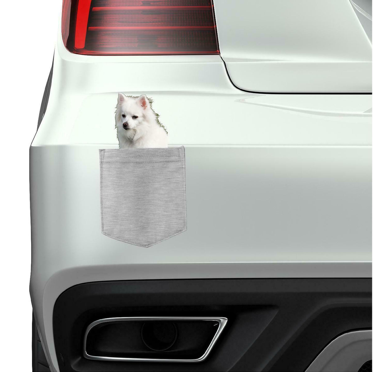 American Eskimo Dog in pocket Fridge Car Magnet Bumper Sticker App size 4"x7"