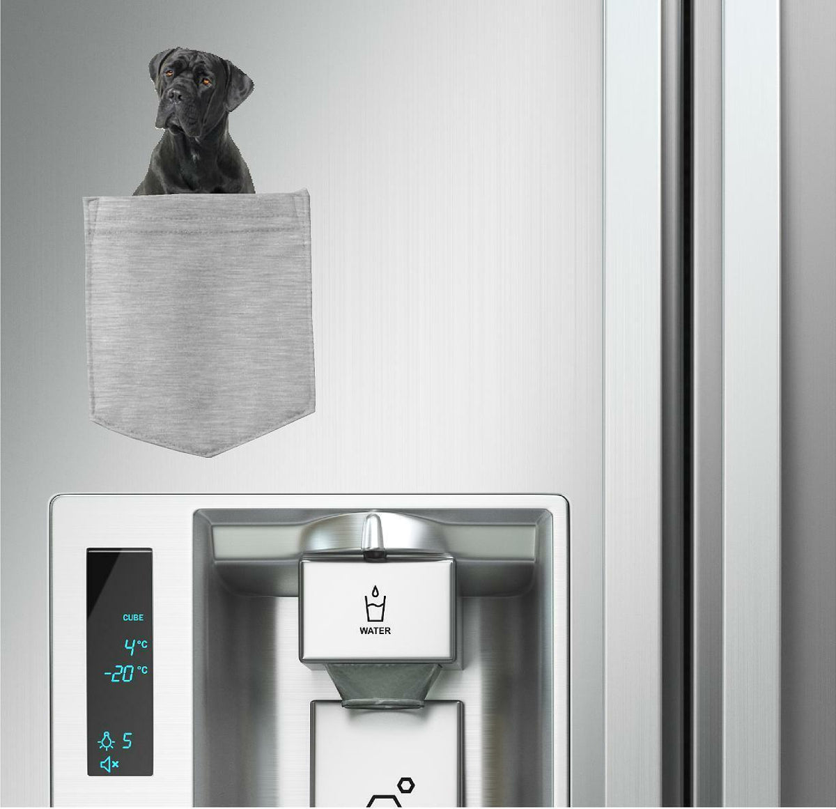 Cane Corso Dog in pocket Fridge Car Magnet Bumper Sticker App size 4"x7"