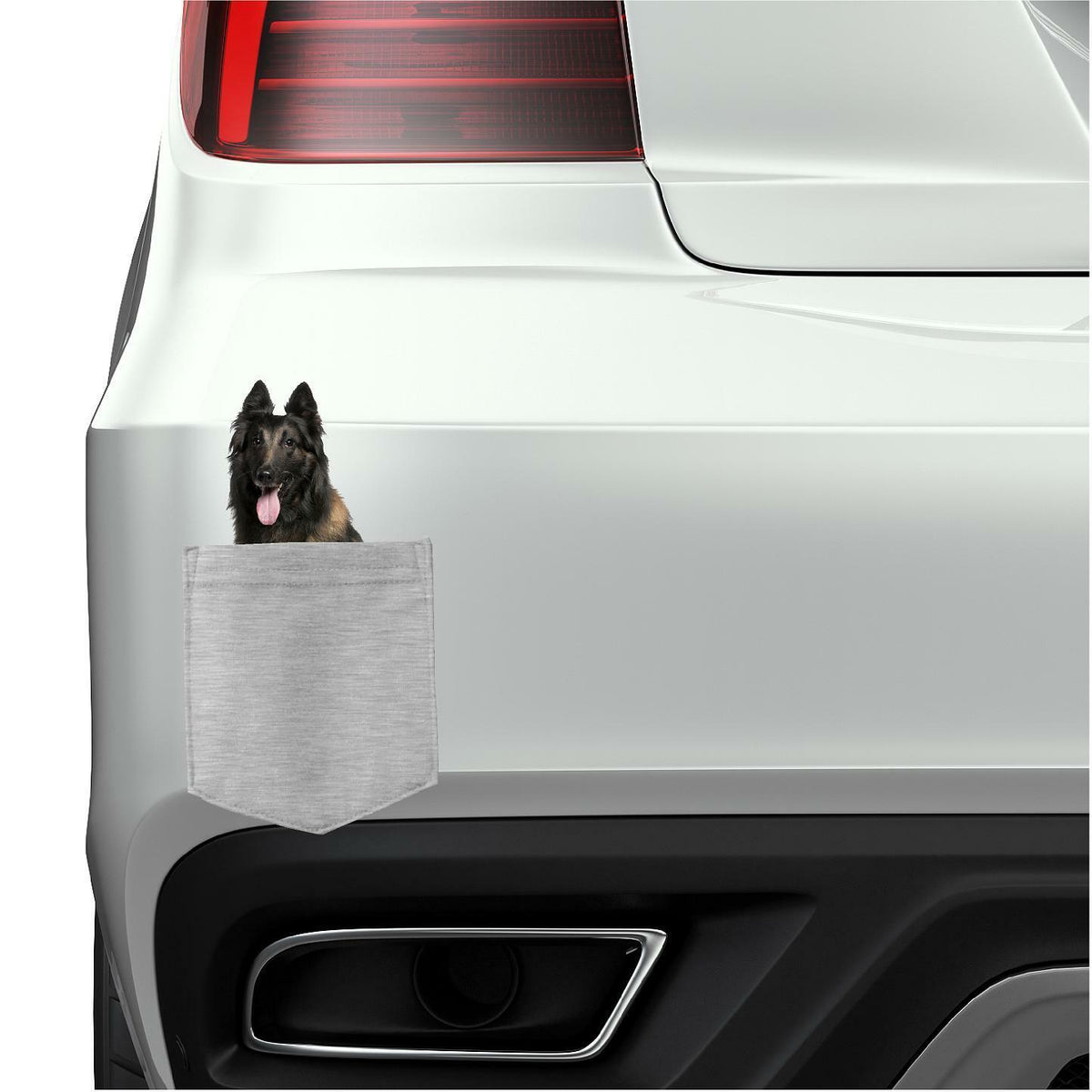 Belgian Tervuren Dog in pocket Fridge Car Magnet Bumper Sticker App size 4"x7"