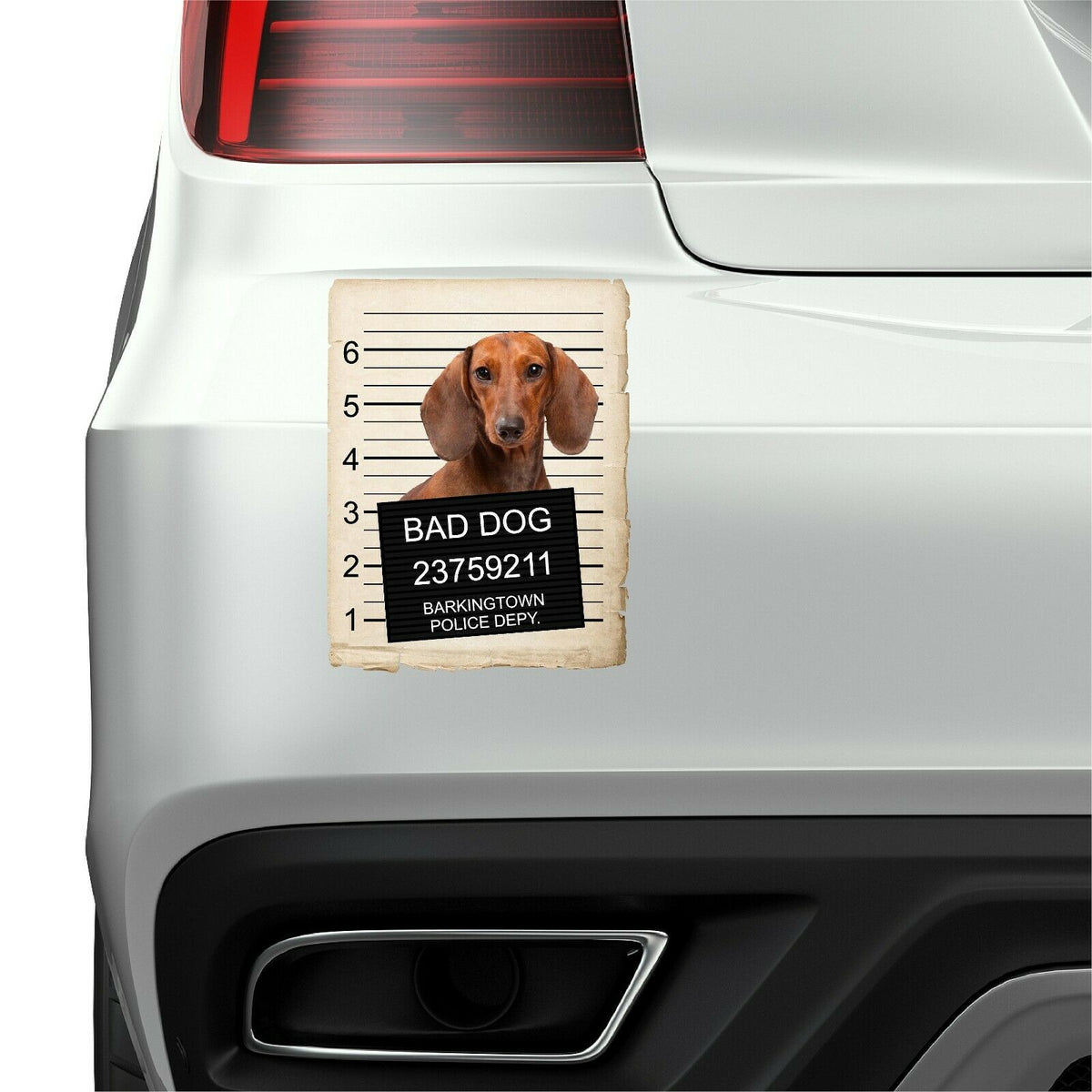 Dachshund Mugshot Bad Dog Fridge refrigerator Car Magnet