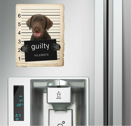 Chocolate Lab Mugshot Bad Dog Fridge refrigerator Car Magnet