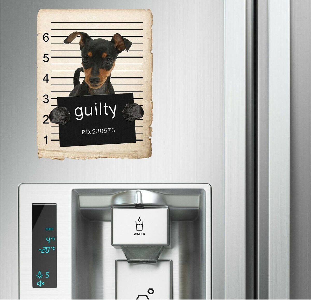 Miniature Pincher Mugshot Bad Dog Fridge refrigerator Car Magnet