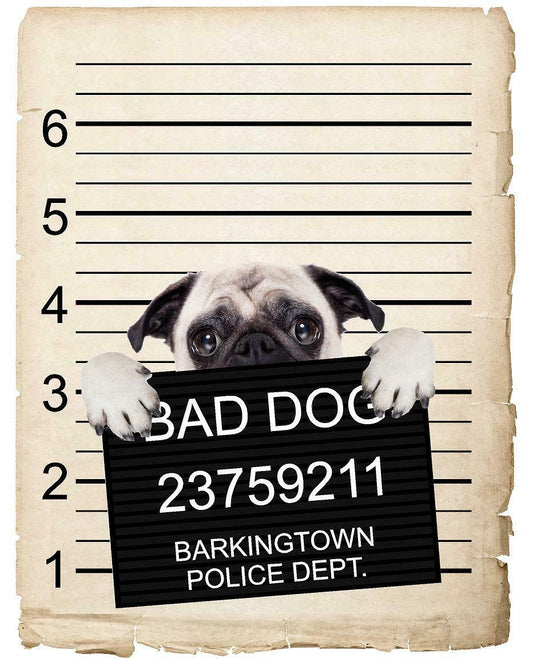 Pug Puppy Mugshot Bad Dog Fridge refrigerator Car Magnet