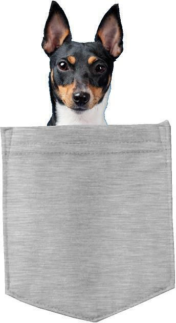 Toy Fox Terrier Dog in pocket Fridge Car Magnet Bumper Sticker App size 4"x7"