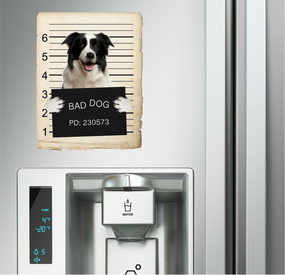 Border Collie Mugshot Bad Dog Fridge refrigerator Car Magnet