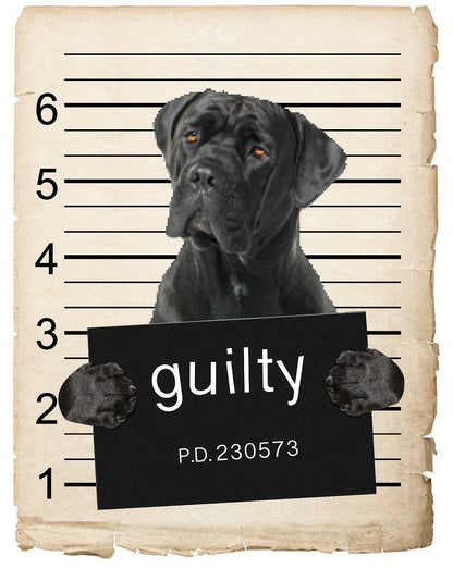 Cane Corso Mugshot Bad Dog Fridge refrigerator Car Magnet