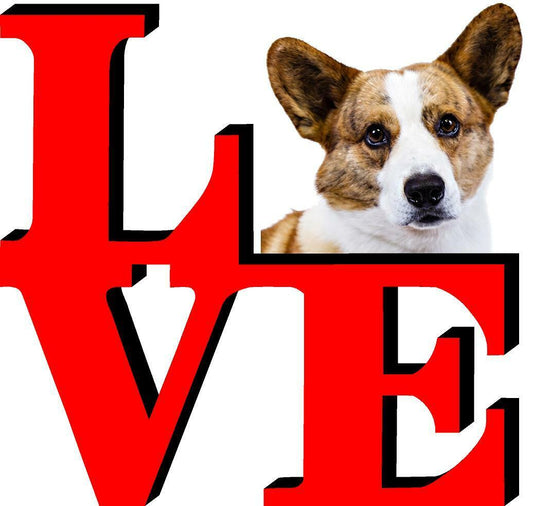 Cardigan Welsh Corgi Dog Love Park Cute Dog Fridge Refrigerator Car Magnet