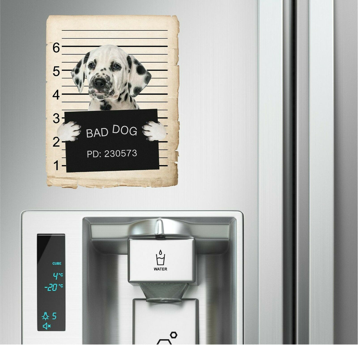 Dalmatian Mugshot Bad Dog Fridge refrigerator Car Magnet