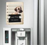 Anatolian Shepard Mugshot Bad Dog Fridge refrigerator Car Magnet