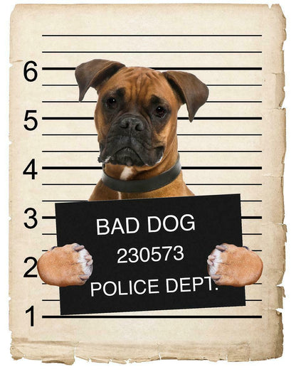 Boxer Mugshot Bad Dog Fridge refrigerator Car Magnet