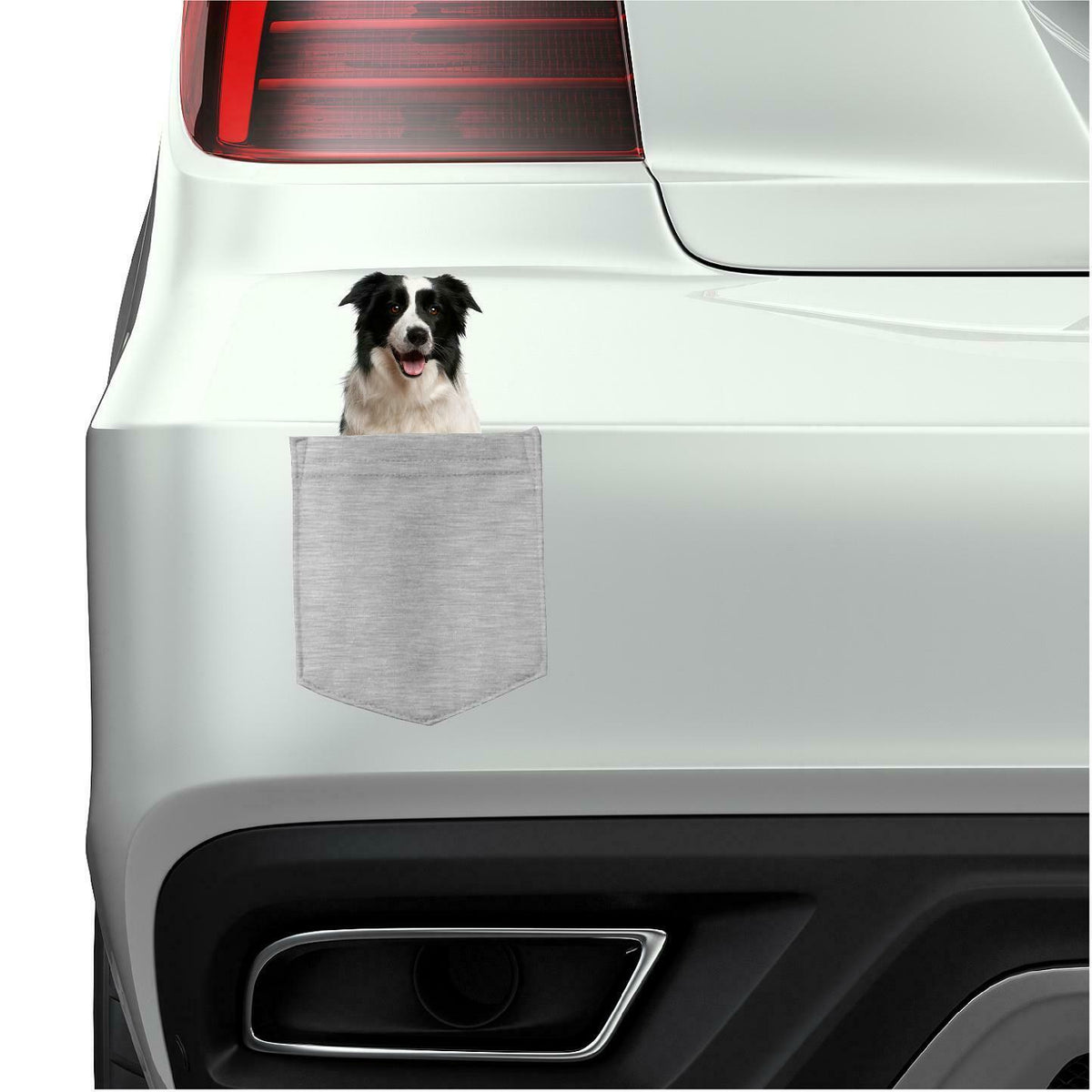 Border Collie in pocket Fridge Car Magnet Bumper Sticker App size 4"x7"