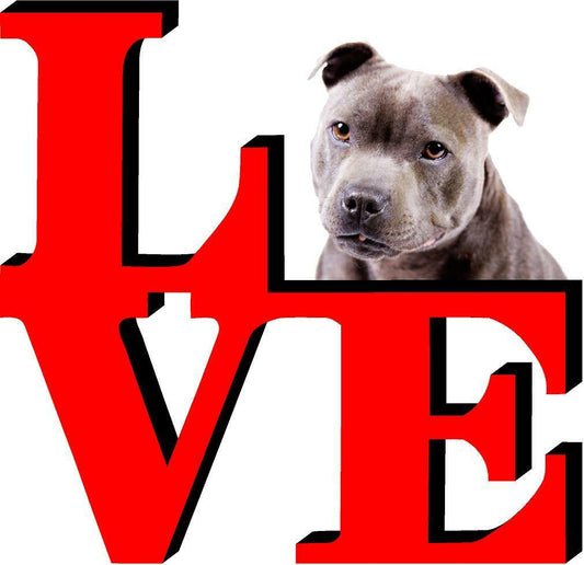 American Staffordshire Terrier Love Park Cute Dog Fridge Refrigerator Car Magnet