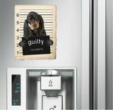 Black and Tan Coonhound Mugshot Bad Dog Fridge refrigerator Car Magnet