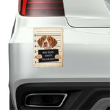 Brittany Mugshot Bad Dog Fridge refrigerator Car Magnet