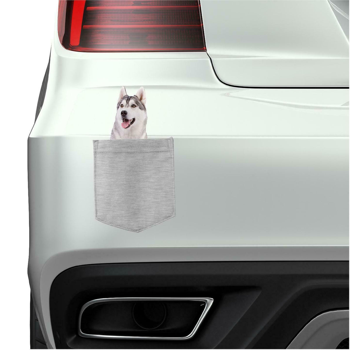 Siberian Husky Dog in pocket Fridge Car Magnet Bumper Sticker App size 4"x7"