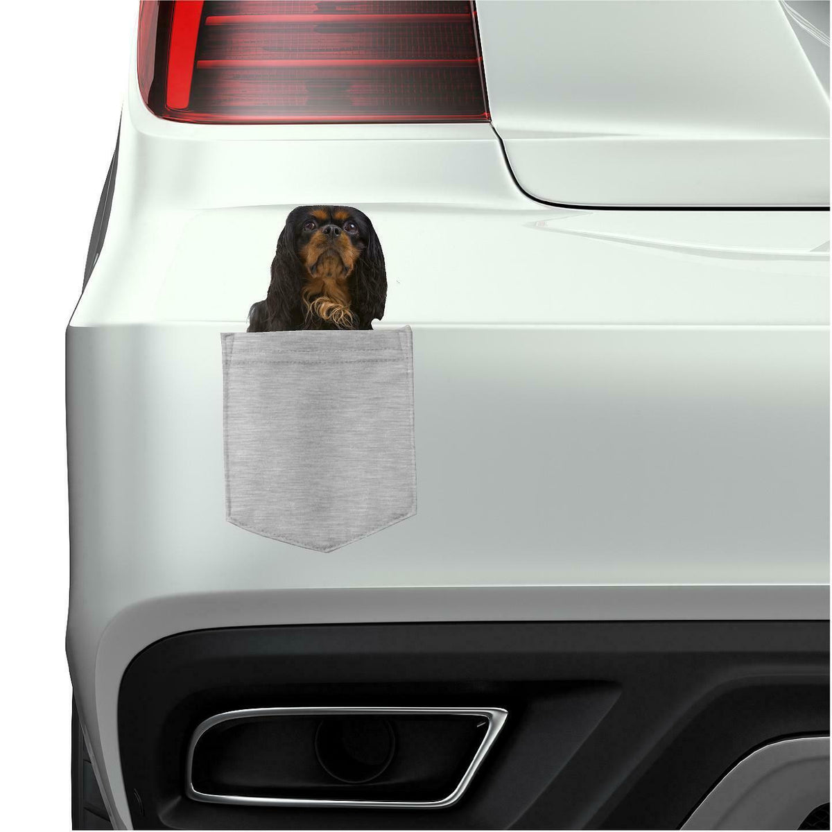 English Toy Spaniel in pocket Fridge Car Magnet Bumper Sticker App size 4"x7"