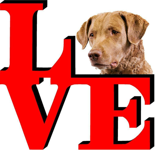 Chesapeake Bay Retriever Dog Love Park Dog Fridge Refrigerator Car Magnet
