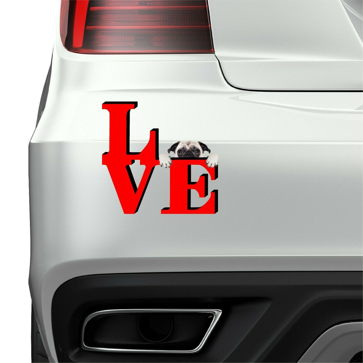 Pug Puppy Park Cute Dog Fridge Refrigerator Car Magnet