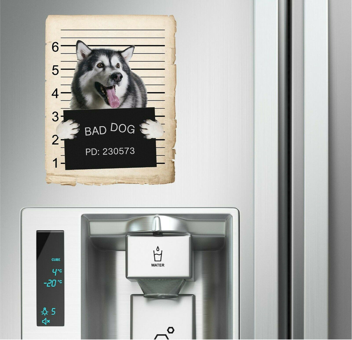 Alaskan Malamute Mugshot Bad Dog Fridge refrigerator Car Magnet Bumper Sticker
