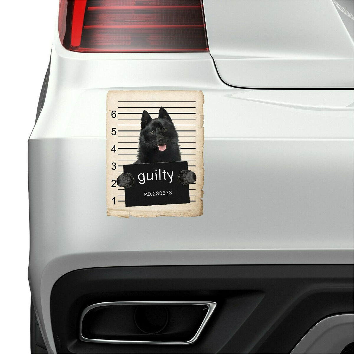 Schipperkes Mugshot Bad Dog Fridge refrigerator Car Magnet