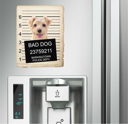 Norfolk Terrier Mugshot Bad Dog Fridge refrigerator Car Magnet