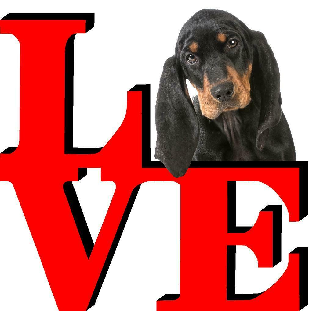 Black and Tan Coonhound Dog Love Park Cute Dog Fridge Refrigerator Car Magnet